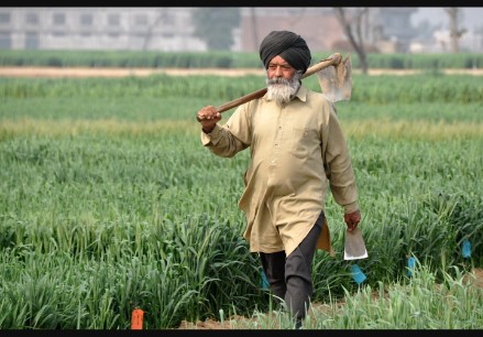 इस फोटो कौन लाइक करेंगे।
जय किसान।।