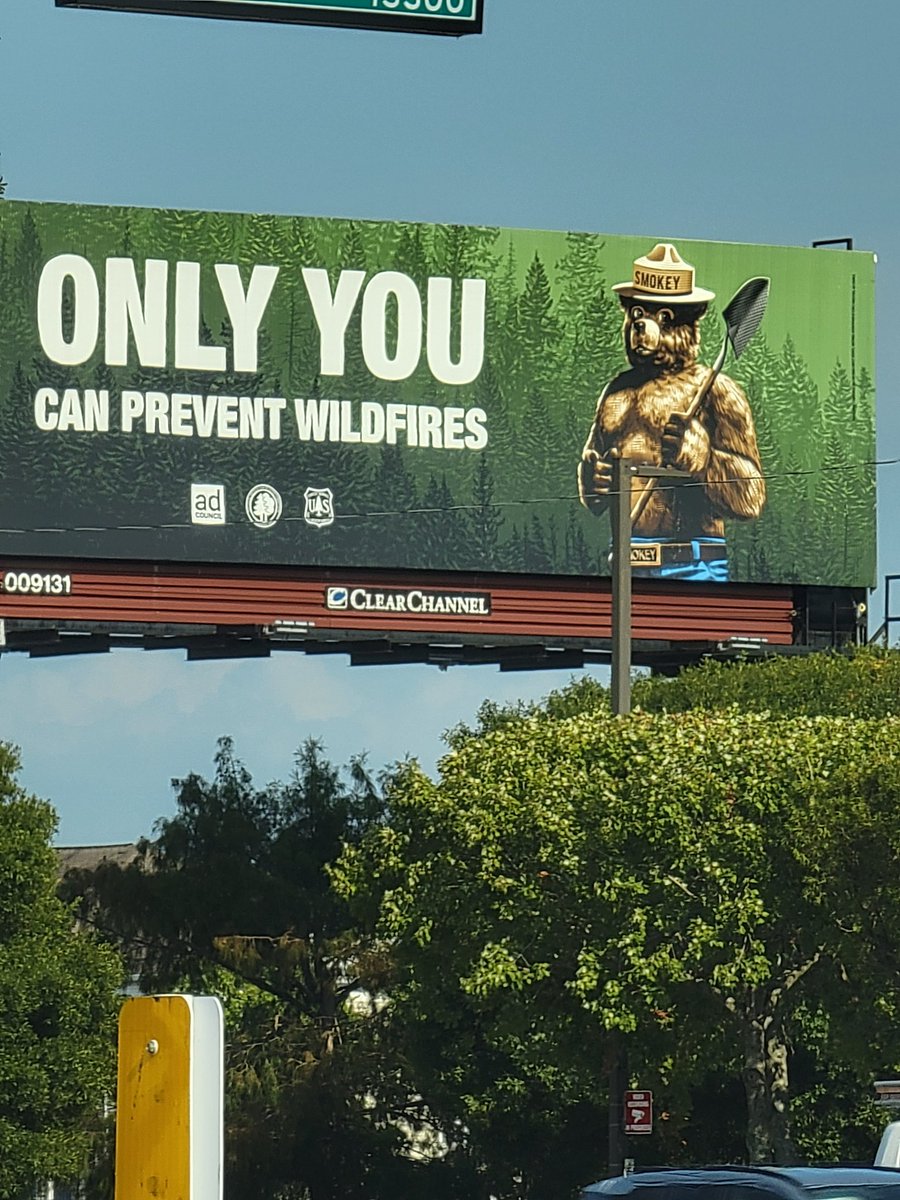 Ayyy, Smokie's been lifting y'all. 🤣🤣🤣