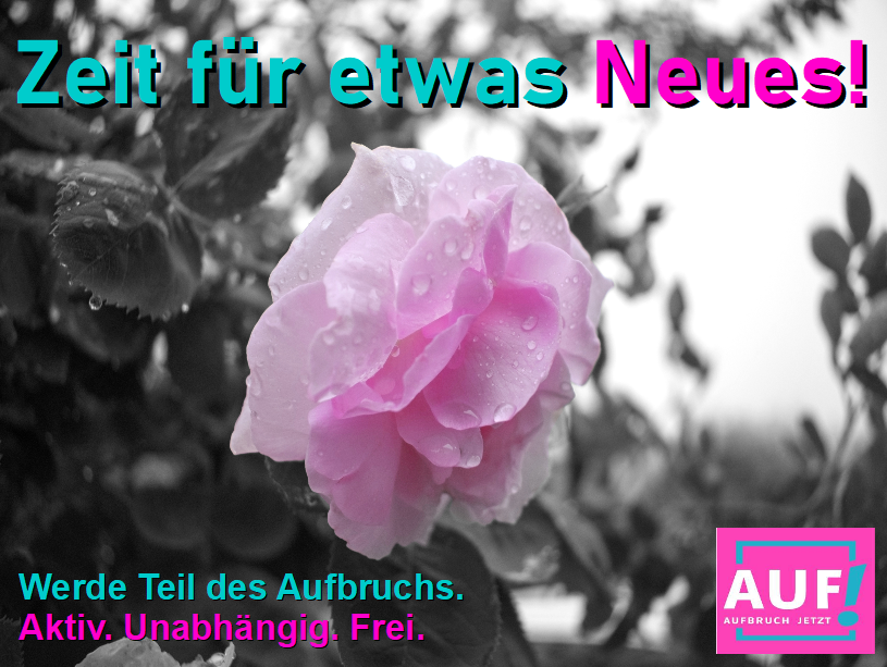 #Deutschland und #Europa brauchen einen #Aufbruch. Deshalb wollen wir zur #Europawahl antreten.