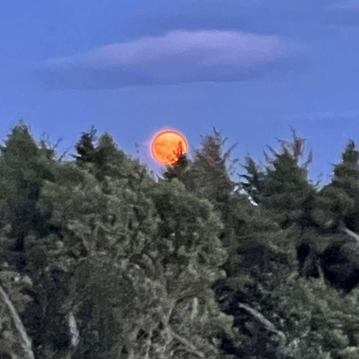 Stunning moonrise tonight…