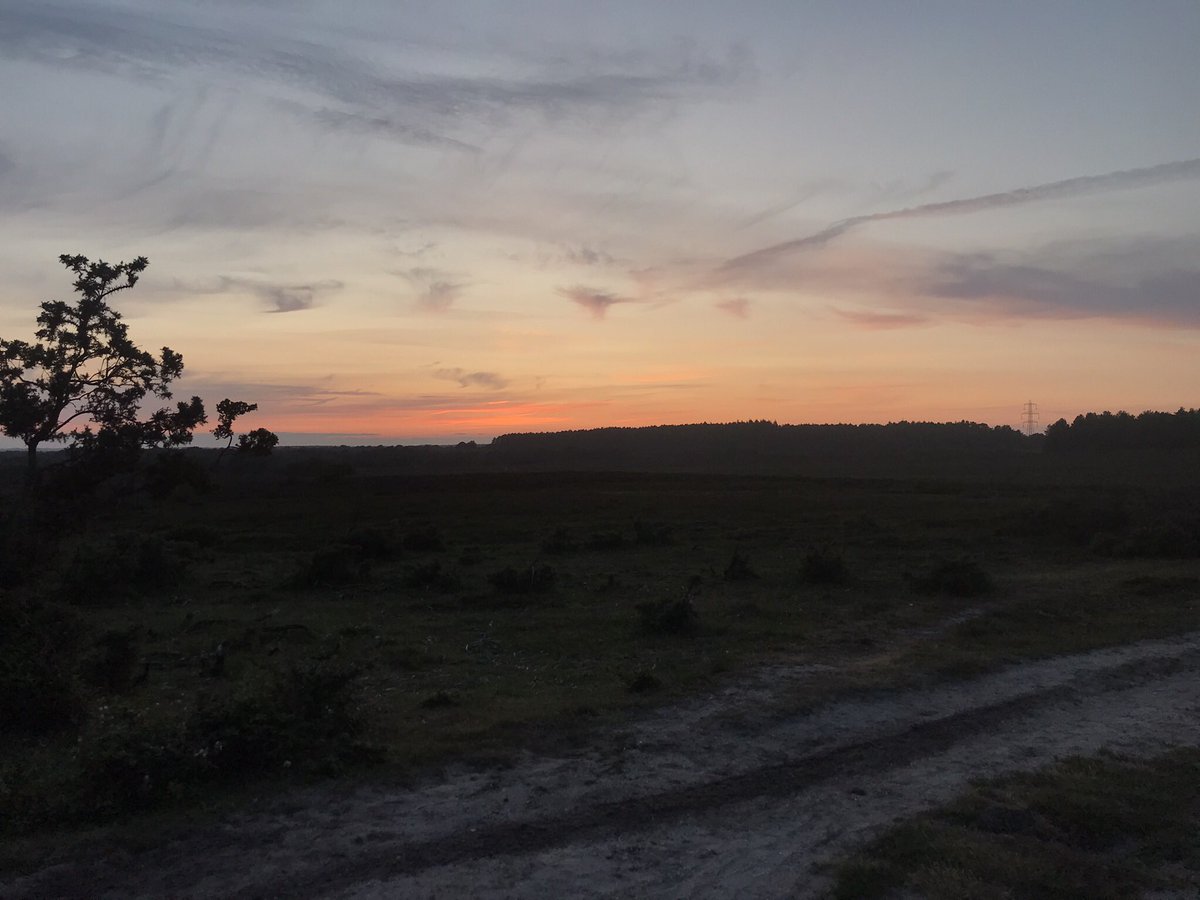 21 - a late one at work, not much time for any major wild activities (well, I guess year 11s partying could be labelled as wild…) but took some time to admire the sky & sunset whilst listening to Snipe & Nightjars 💜 #30DaysWild #dusk #sunset #NewForest