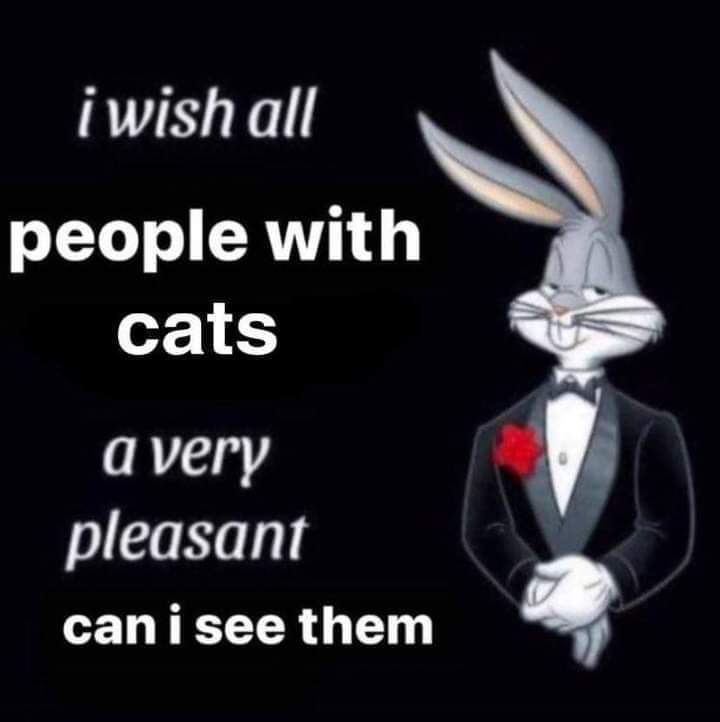 FREE PALESTINE 🇵🇸 tweet media