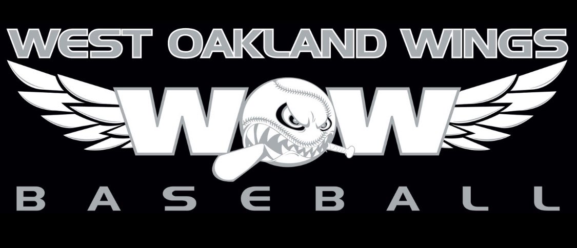 Weather wiped out the Championship Game of the PBR Great Lakes Invite. Finished 4-0-1 and got to the Championship with a 10-6 semifinal win!

We improve to 18-2-1 on the season and look forward to the PBR National Championships in GA this week!

@PBRMIScout @PrepbaseballM