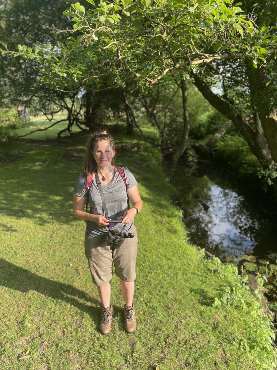 Day 22 - a lovely circular walk Deerleap - Ashurst, complete with pub stop & plenty of wild encounters including Alder Beetle, Agelastica alni, Slow worm, Anguis fragilis & a good amount of time spent taking pants photos of damselflies 😆🙈🤦🏻‍♀️ #30DaysWild #NewForest #wildlife 💜💚