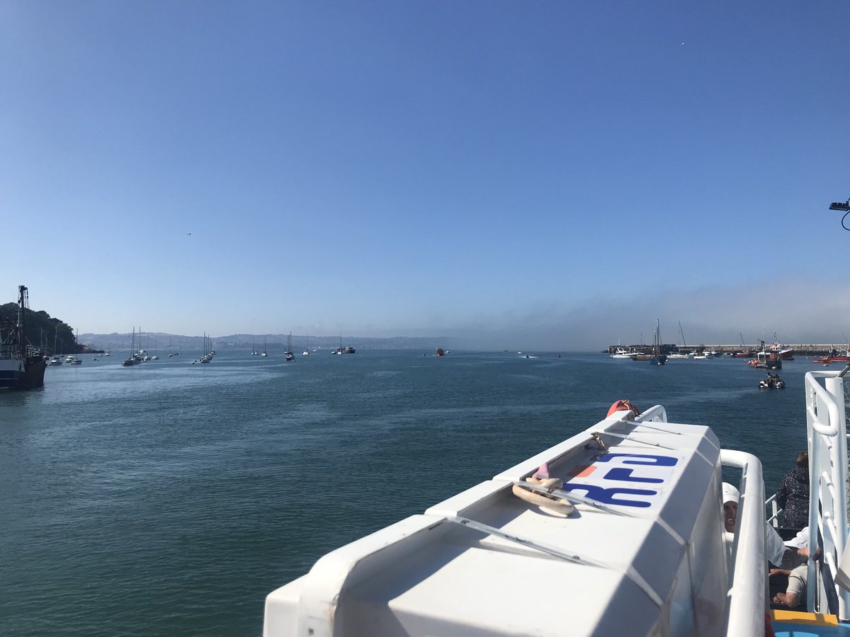 Day 24 - exploring a new patch! Last minute adventure to Devon gave the opportunity to get out on the water Dartmouth-Brixham-Torquay; beautiful day seal spotting & bird watching 😍 (before the sea mist arrived & everything disappeared…) #30DaysWild #birding #seawatching