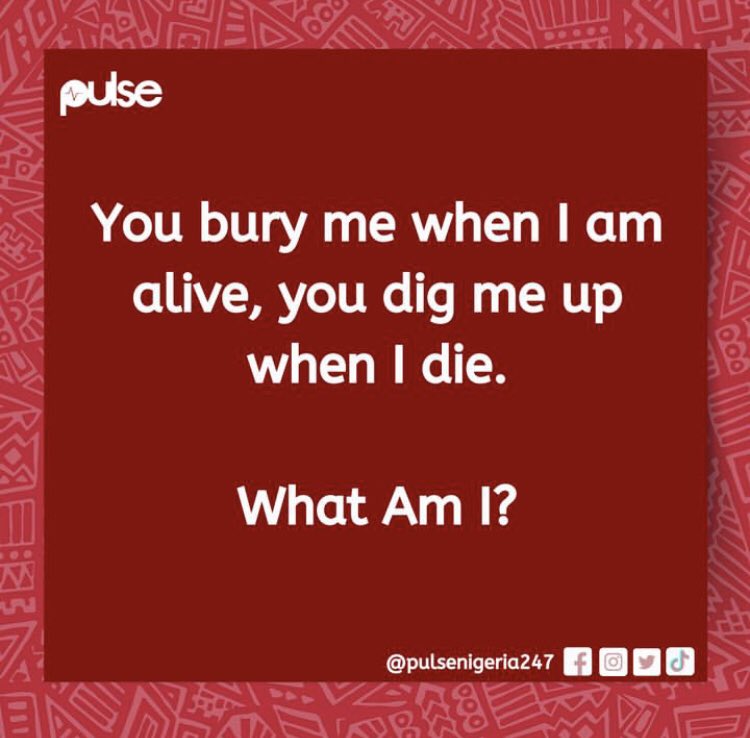 PulseNigeria247's tweet image. 🤔🤔