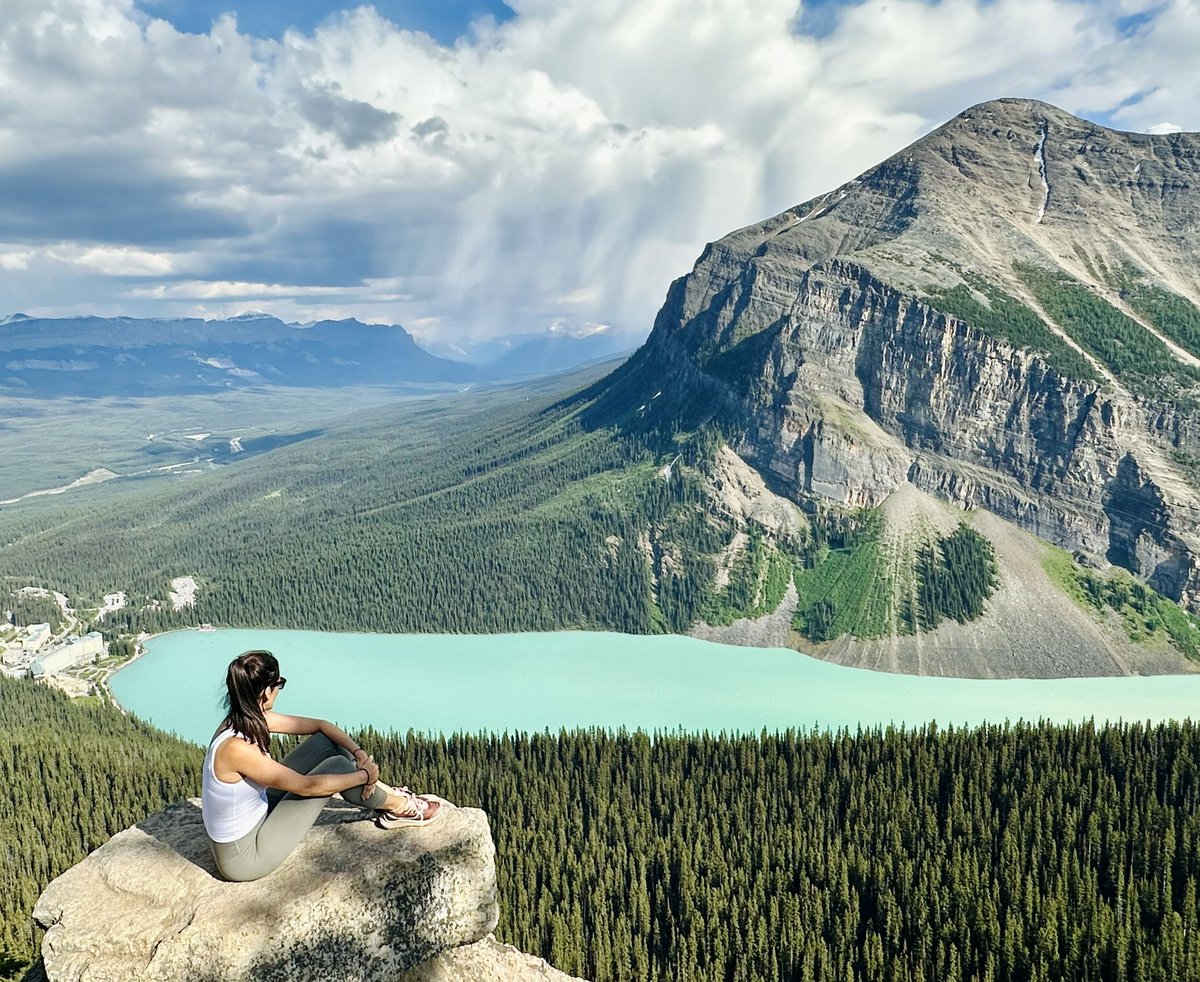 John Deehan tweet media