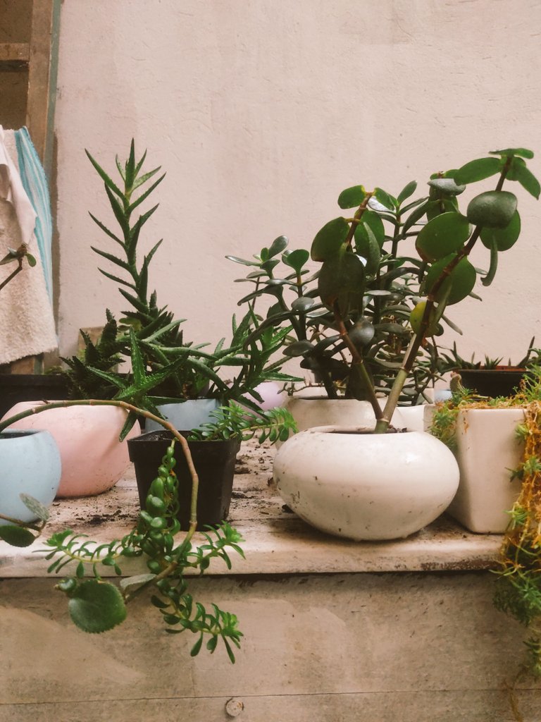 Memes Universidad Nacional tweet media