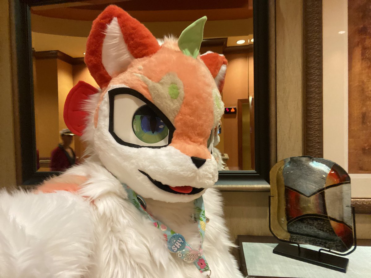 Had such a great time at @Soonercon it was sooo hot fullsuiting but still a great time! #fursuit
