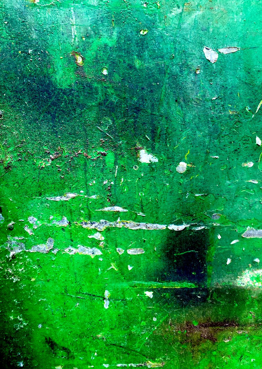 robynwoolston's tweet photo. #MonaLisa Smile 
#foundlandscape 
@maryfrancesness https://t.co/7TNSg9YWAy