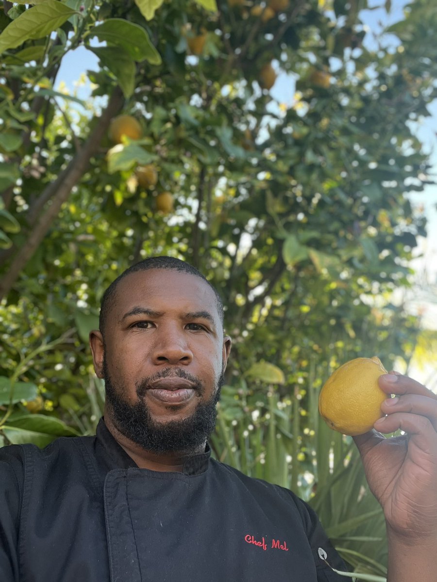 ChefMelman's tweet photo. @JPFinlayNBCS I’m going straight to the lemon tree 😂 https://t.co/0QMHsSR1cA