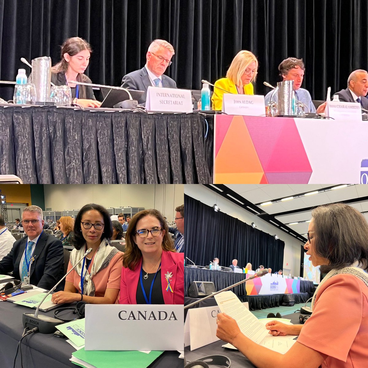 Microplastic pollution is a threat to the environment and to human health

Pleased to see <a href="/jwaldag/">John Aldag</a> Supplementary Item on Microplastic &amp; Nanoplastic Pollution passed at <a href="/oscepa/">OSCE PA</a> Committee on Economic &amp; Environmental Affairs 

<a href="/YaaraSaks/">Ya'ara Saks יערה זקס</a> 
#OSCEPAVancouver23 #plasticpollution