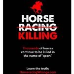 #EndHorseracing #HorseracingKillsHorses #BoycottHorseracing