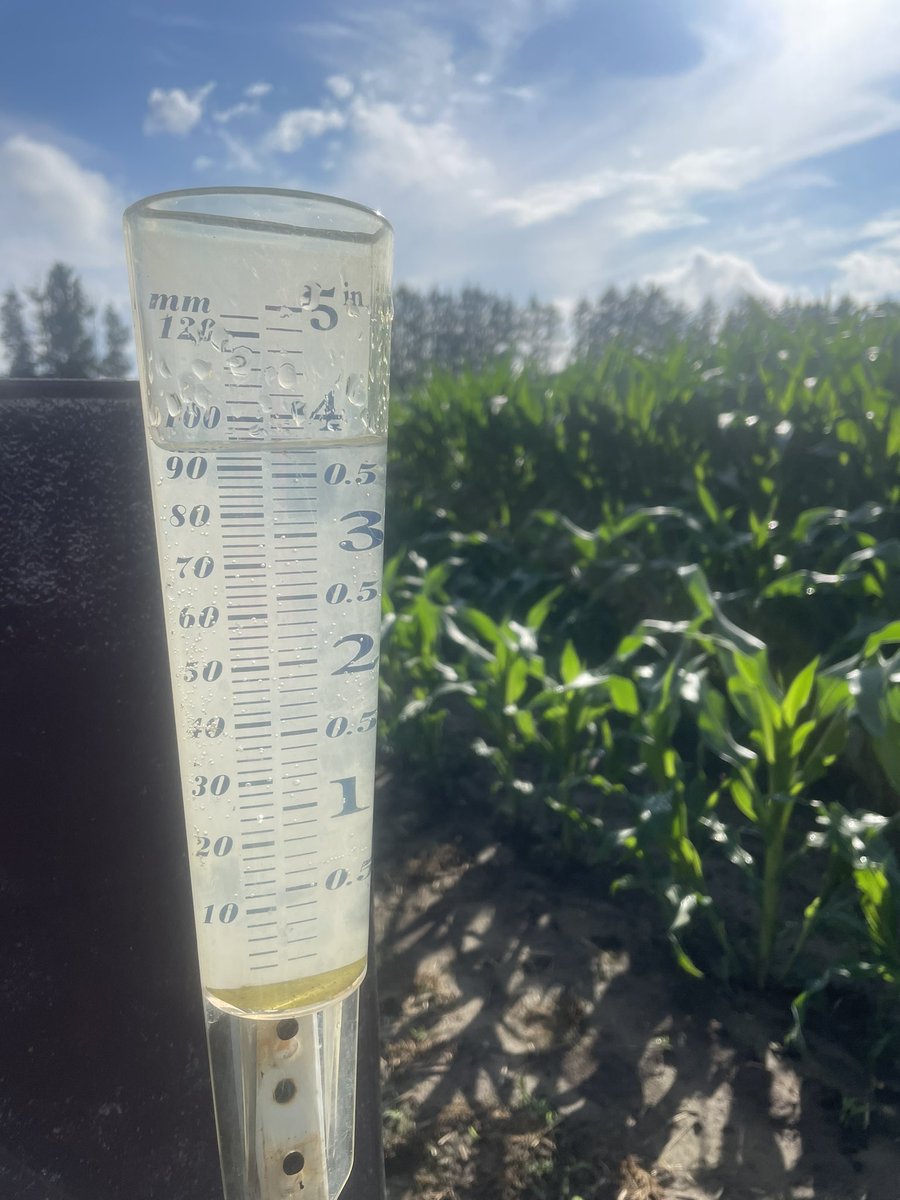 VictoriaSnyder_'s tweet photo. Almost 4 inches of rain outside Chatham 💧💧 https://t.co/AKCnWM7t4t