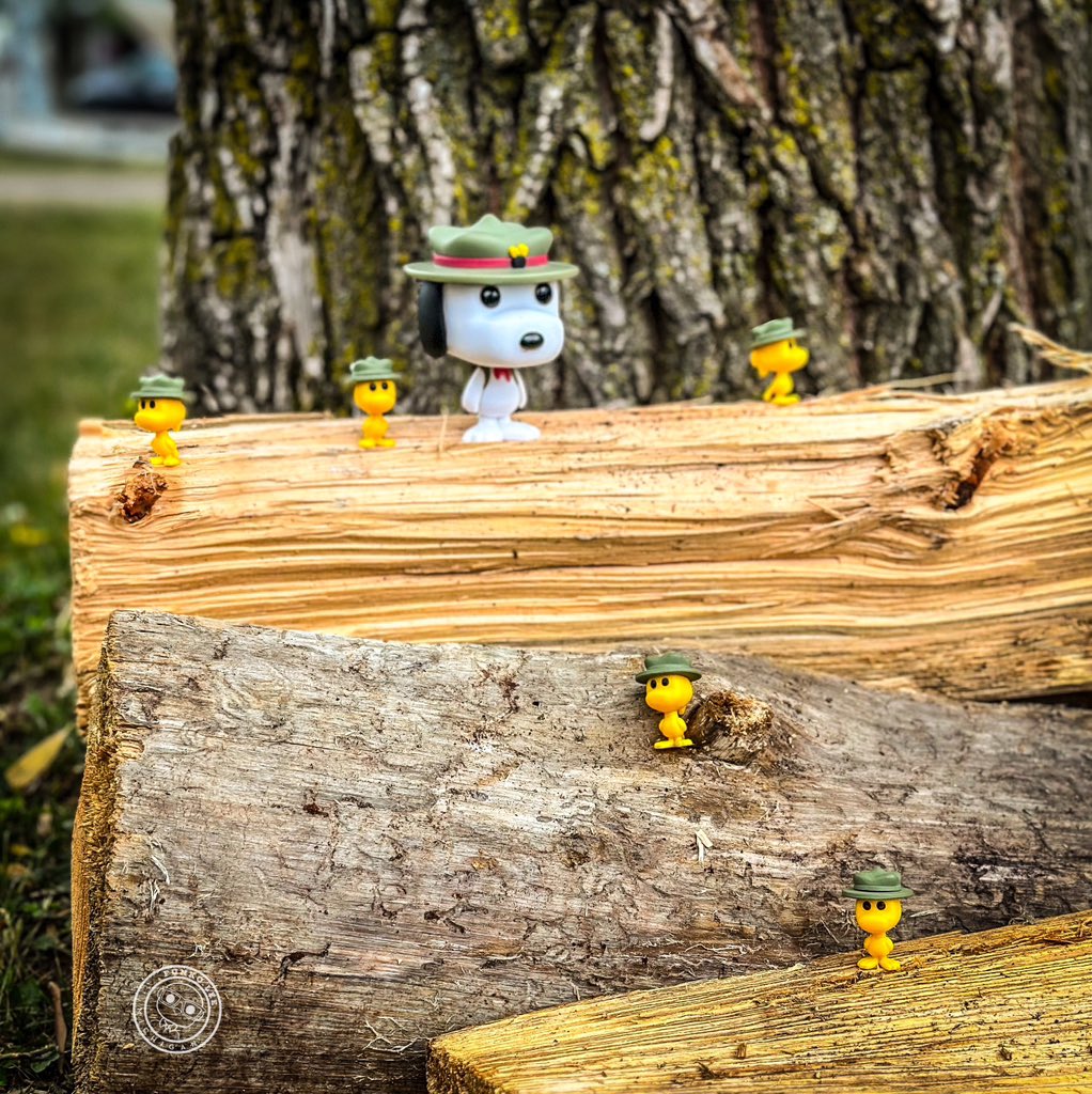 FunkoLeeM's tweet photo. The ‘ol #BeagleScouts are prepping the firewood tonight for this evening’s #smores! Now who brought the marshmallows this time?! 🔥🏕️🍫 #campinglife #summer #Peanuts #Snoopy #Woodstock #fun #FunkoPop #Funko #FOTW #FunkoFamily @originalfunko https://t.co/dhGJqNwosU