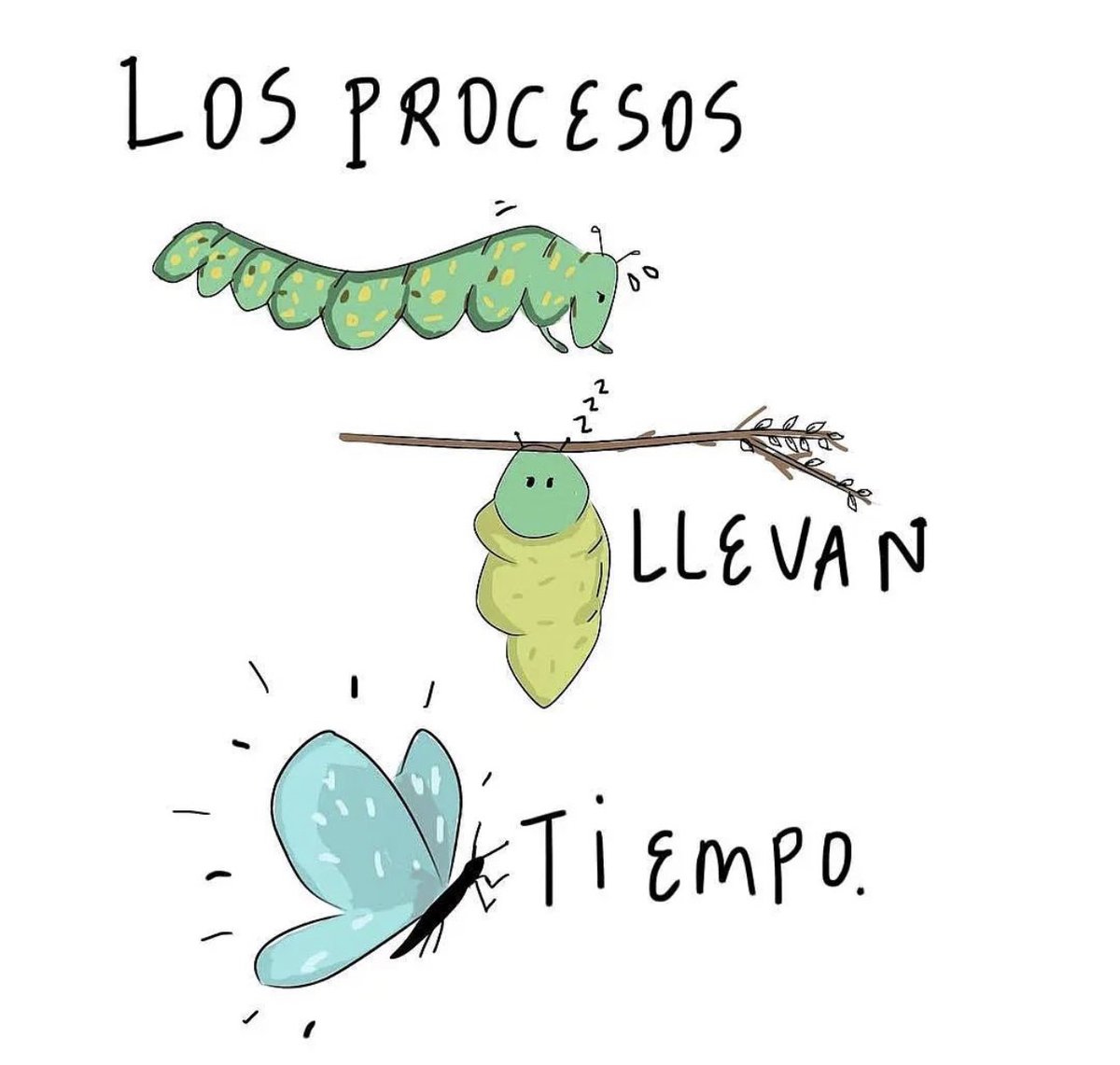 Aprender a comprendernos y amarnos, no es de un día para el otro, lleva tiempo y dedicación 💖💖