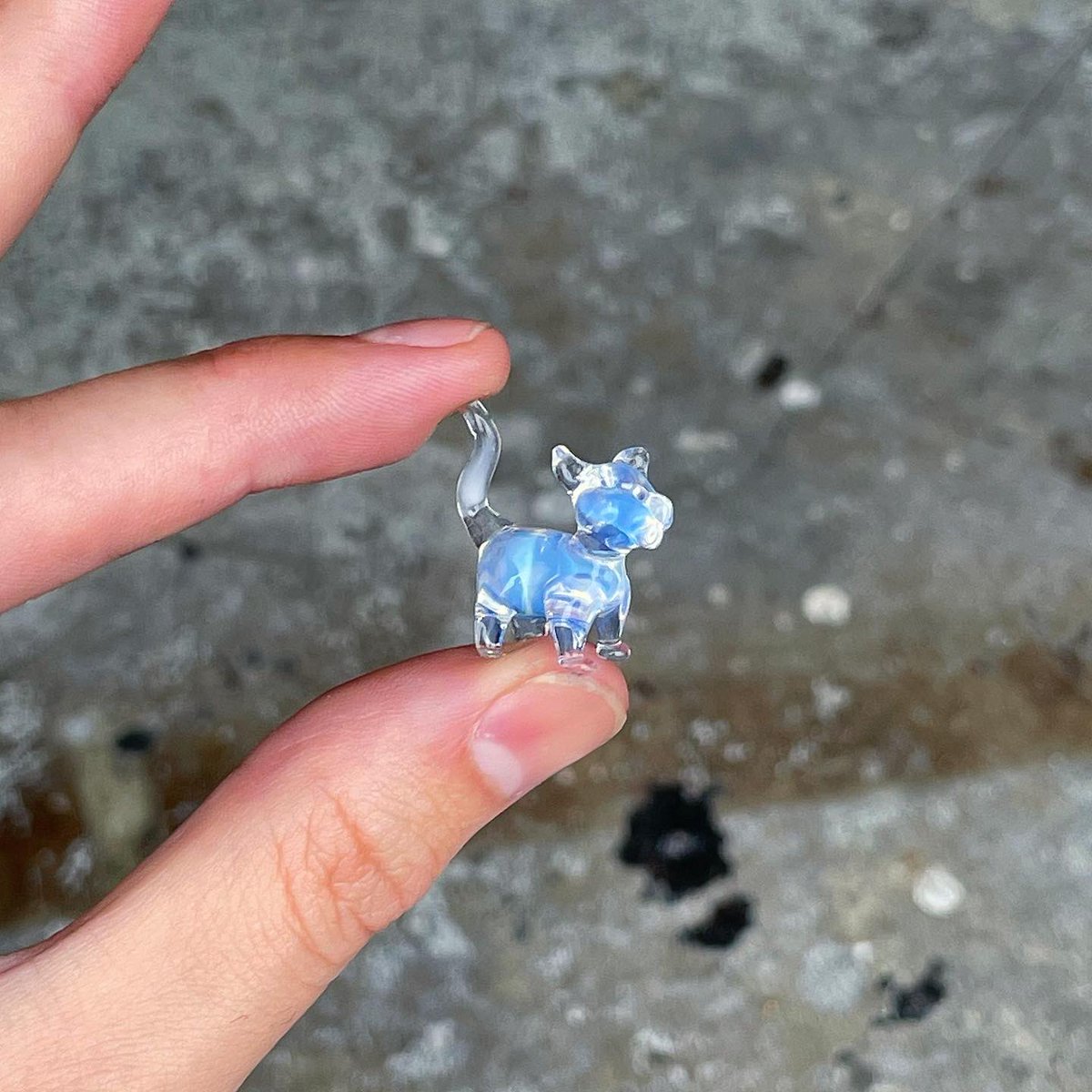 lil taco tweet media