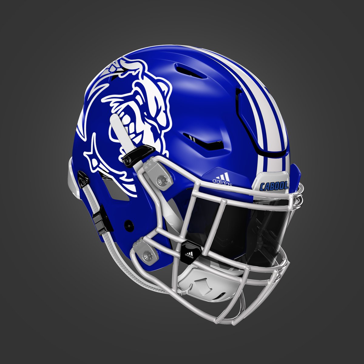 Missouri Helmet Project tweet media