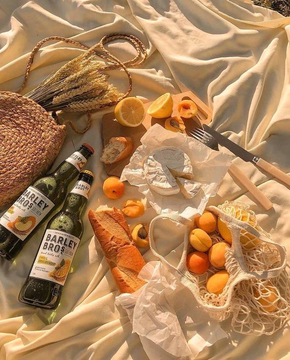 daria_wite's tweet photo. let's have a picnic https://t.co/GEswOhchAB