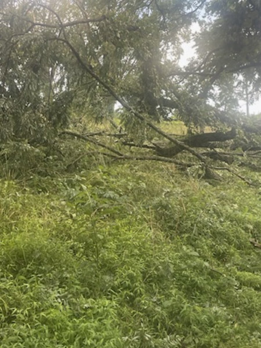 Christydcarter's tweet photo. @Kentuckyweather Deer Haven in Lexington is a mess. https://t.co/zCP5N2K8wr