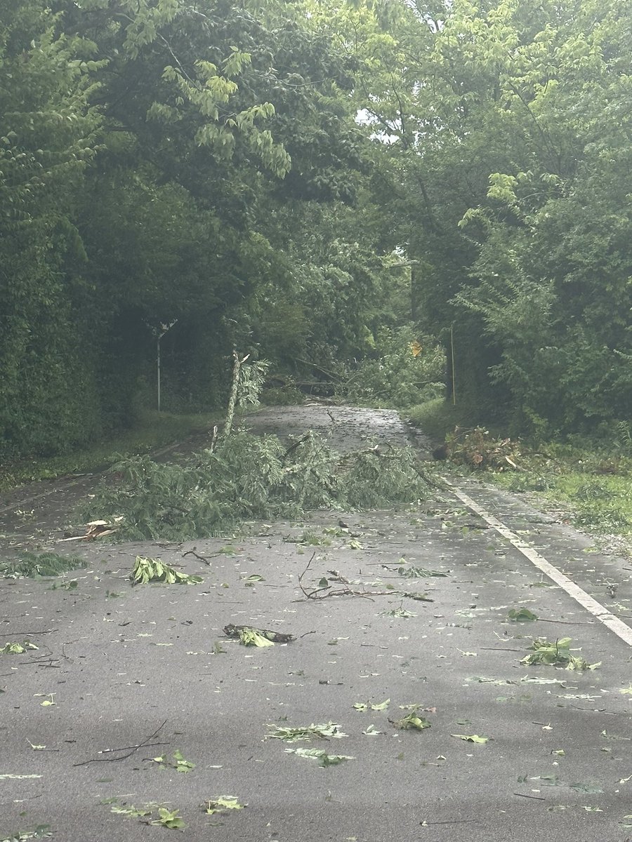 Christydcarter's tweet photo. @Kentuckyweather Deer Haven in Lexington is a mess. https://t.co/zCP5N2K8wr