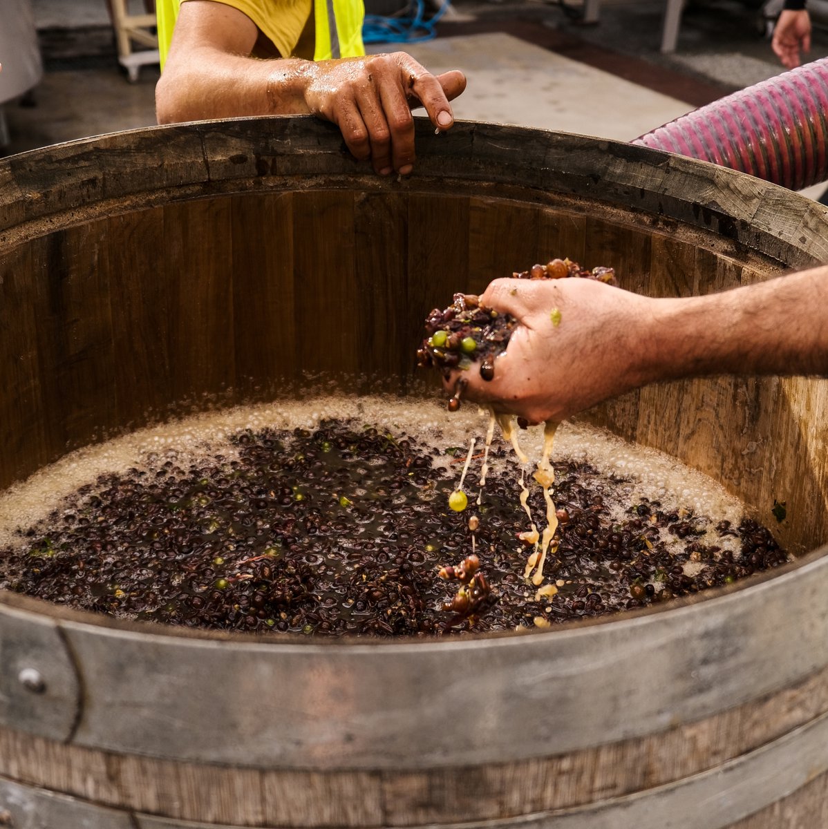 Winemaking is a creative process, and we love experimenting to bring you something new. Expect the signature Marlborough fruit with an exciting vintage twist.
allanscott.com