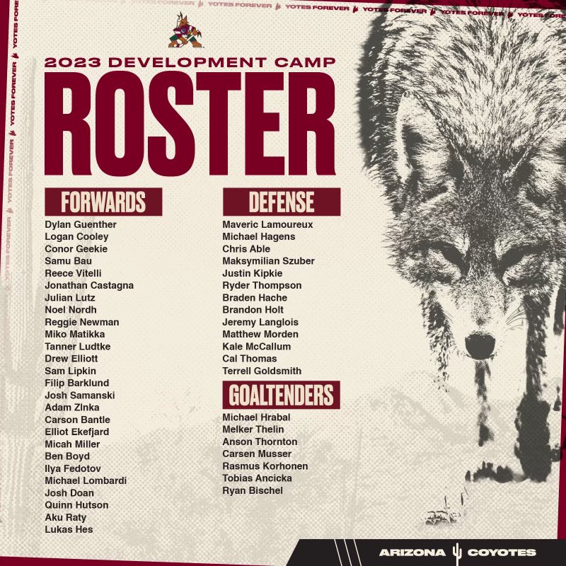 ArizonaCoyotes's tweet photo. The build continues in the desert 🌵 

Our 2023 Development Camp kicks off tomorrow. See who’s hitting the ice this week.

Read more: https://t.co/HFRE7LwJma https://t.co/aS4yvhVhZ3