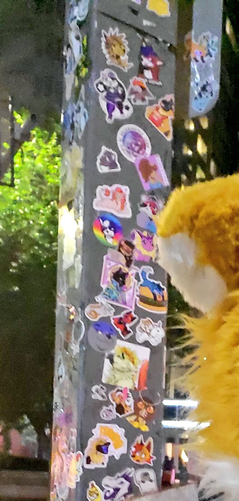 Riley Winters❄️⛄️ tweet media