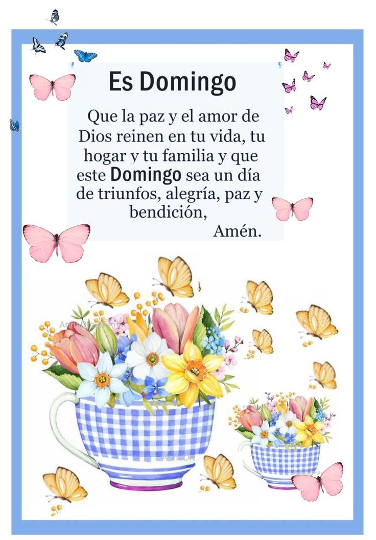 OlgaReyesZu's tweet photo. Que tengan una linda tarde chicas 🏵️🥀🌹🌷🌻 https://t.co/rfzEBd5vJd