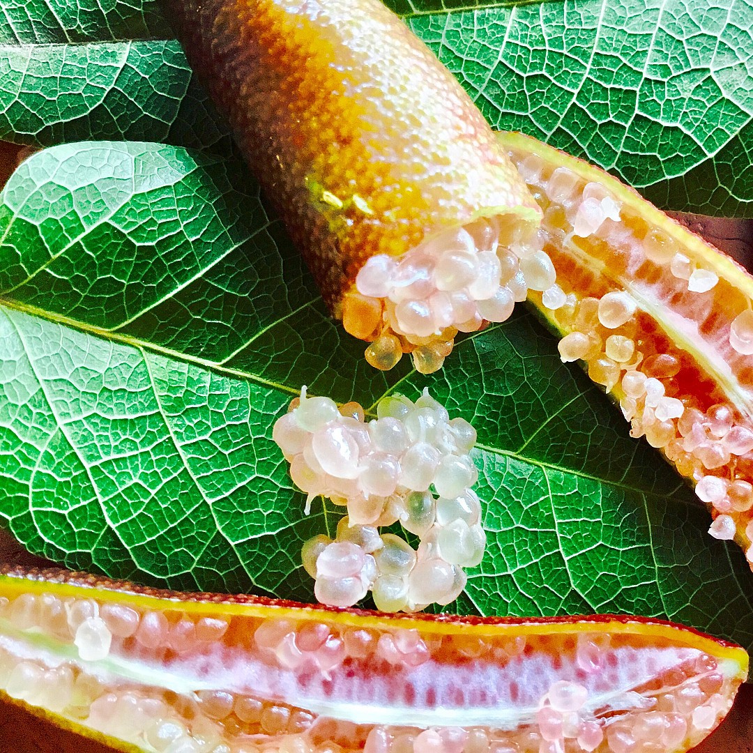 This #NAIDOC Week we take the opportunity to recognise the traditional owners and custodians of Australia, especially the elders of the Turrbal and Jagera Country on which the Gathar team live and work. 🖤💛❤️ #Naidoc2023 #ForOurElders