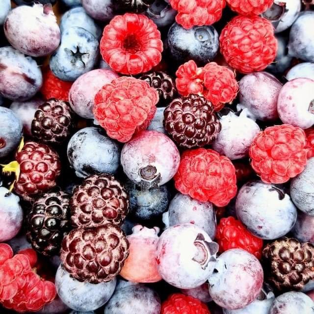 TableToTableOrg's tweet image. Help us deliver more fresh food to hungry NJ neighbors. Every $1 provides enough food for 10 meals. You can make one donation or you can set up a monthly donation. No amount is too small. Visit interland3.donorperfect.net/weblink/weblin…