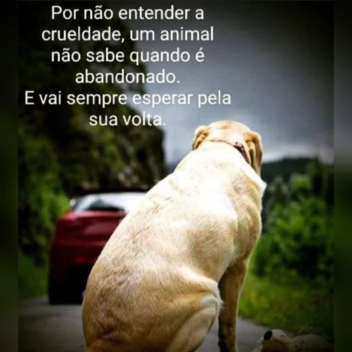 quartetosrd's tweet image. FIM.
Esse é o desfecho que pessoas  covardes tem para uma história de amores verdadeiros 💔