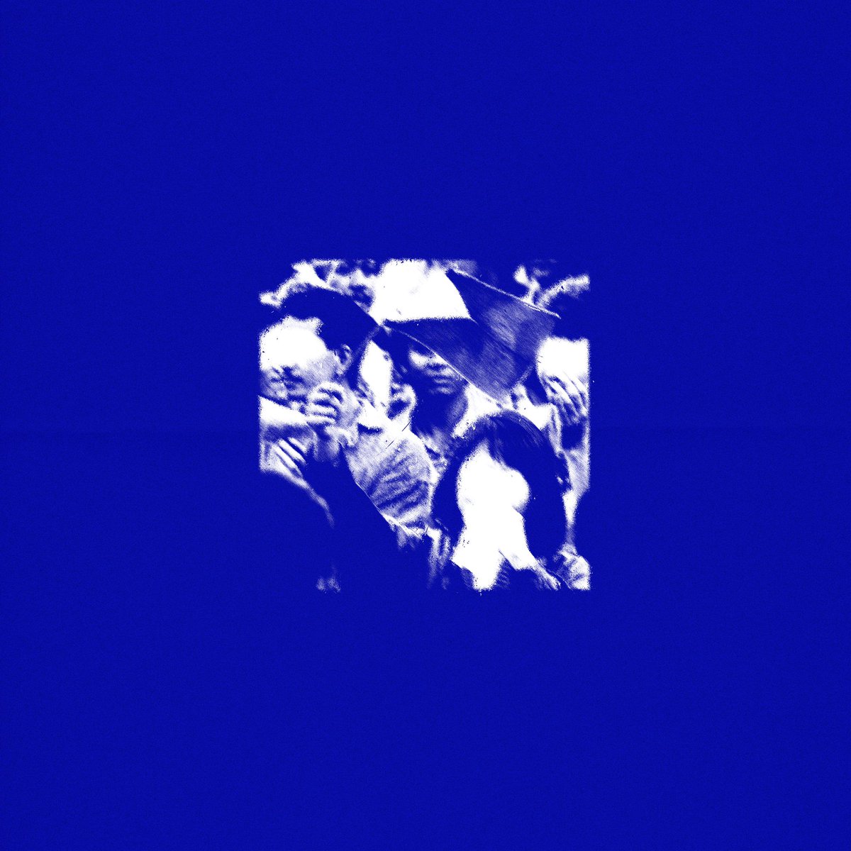 ST. WOLF ✱ tweet media