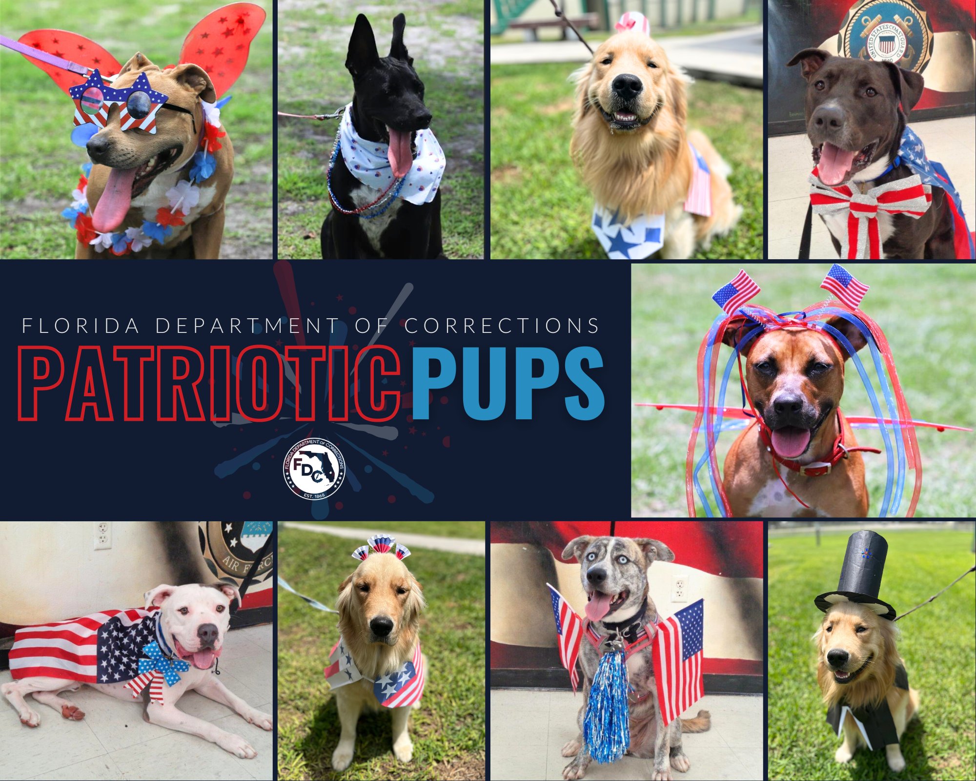 Florida Department of Corrections on Twitter: 