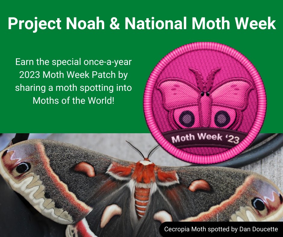 Project Noah tweet media