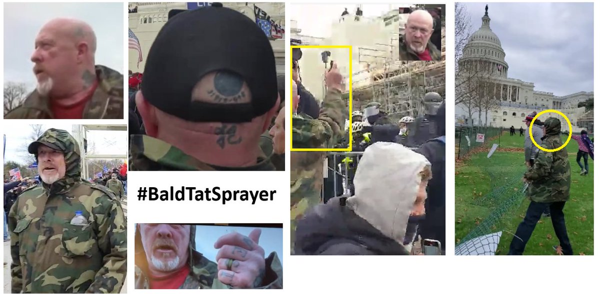 SeditionHunters's tweet photo. #DoYouKnow #BaldTatSprayer observed damaging property on Capitol grounds on #J6. If so the FBI https://t.co/7pmqDmCe9J would like to hear from you and so would we. Contact us admin@seditionhunters.org #TheRealJ6 #J6Fencers #SeditionSprayers https://t.co/khpKTiukJ5