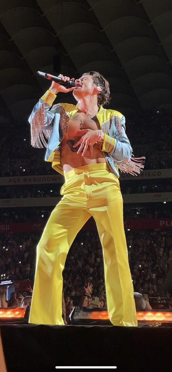 sheeranminger's tweet photo. Nie wierze ze to był mój widok #HarryStylesLoveOnTourWarszawa https://t.co/8oTMArjAMx