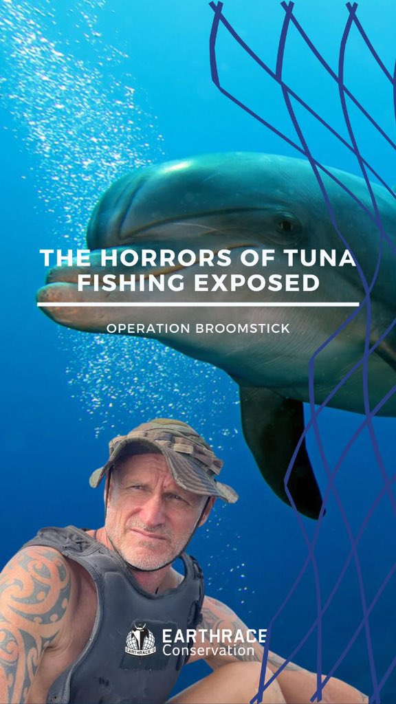 youtu.be/SmIIGyVeT5w