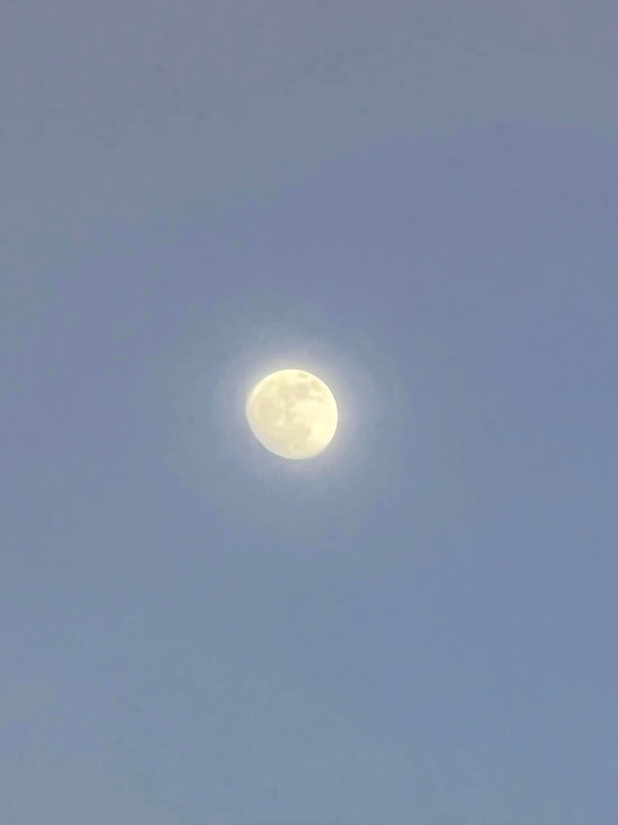 capturedone's tweet image. 