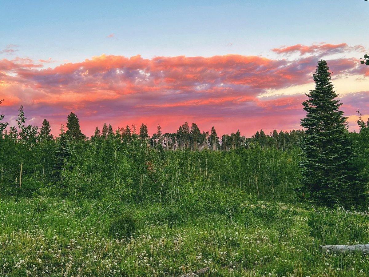 bern_g3's tweet photo. Canjilon 💜 #NMTrue https://t.co/QRAi10xeLW