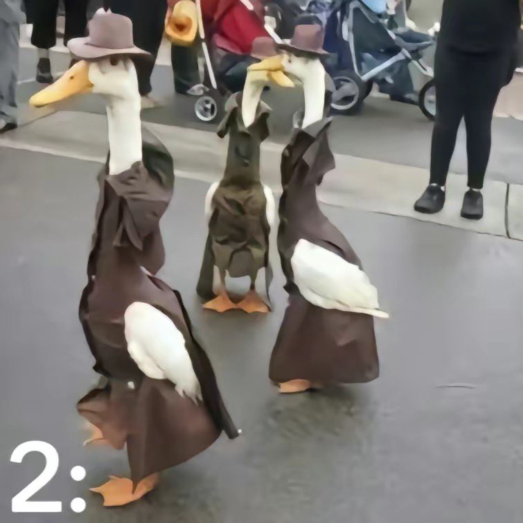 cual de estos en un agente patológico? (difícil)