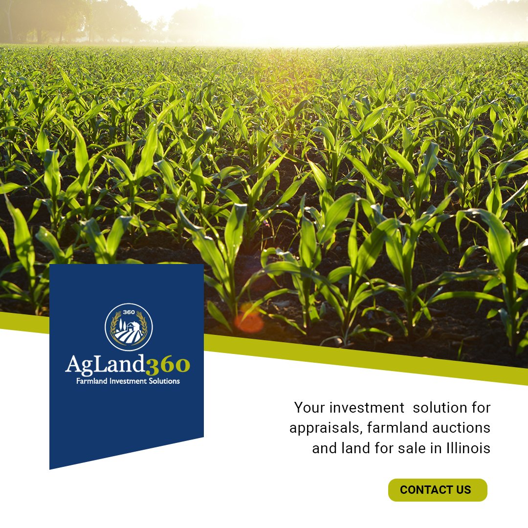 Contact us today at 217.827.0960.