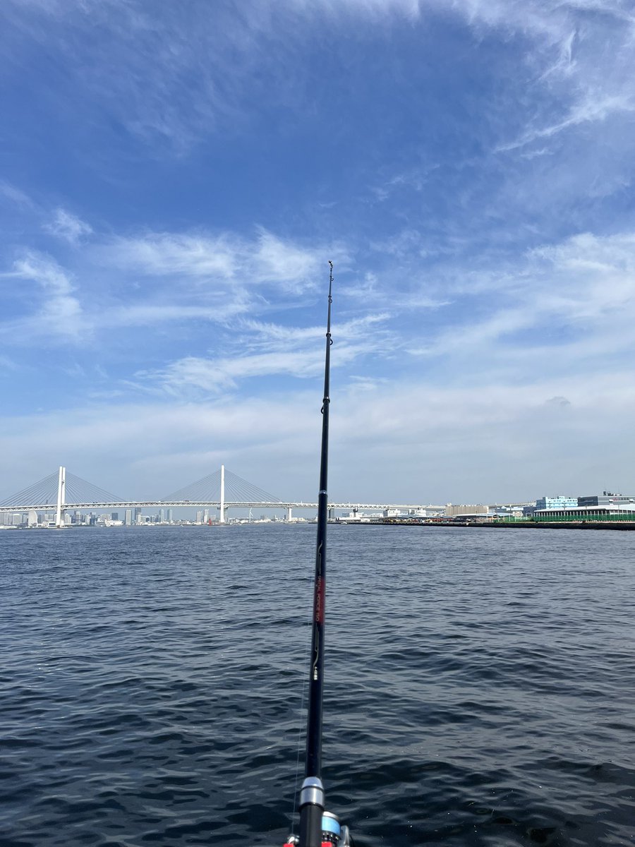 hide21778034's tweet photo. 今日も大黒海づり施設は暑い🥵
ヤバいくらい暑い😵
休憩室に避難。
カタクチイワシ祭り真っ最中

#大黒海づり施設　#釣り　#大黒 https://t.co/fILyZTSpGL