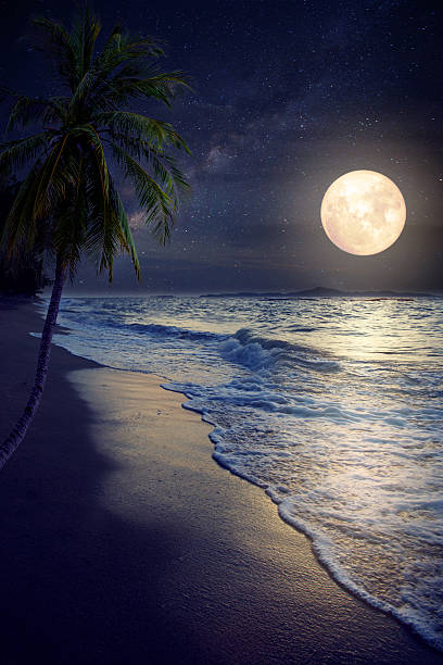 there's a ball of light close to the sea on a calm clear night the waves move free what comes to mind is a lovely dream there's joy to find in this timeless scene... #fullmoon #richie