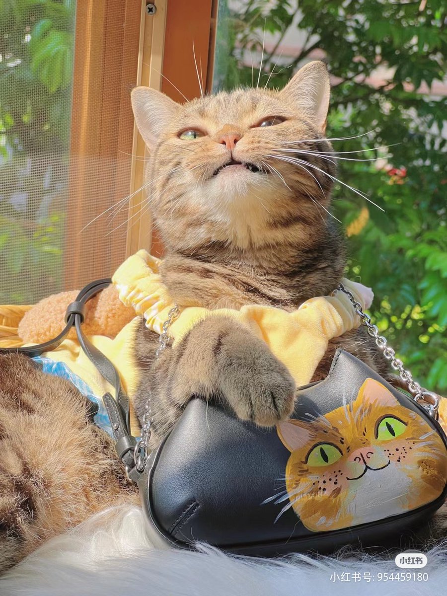 Rita（互fo） tweet media