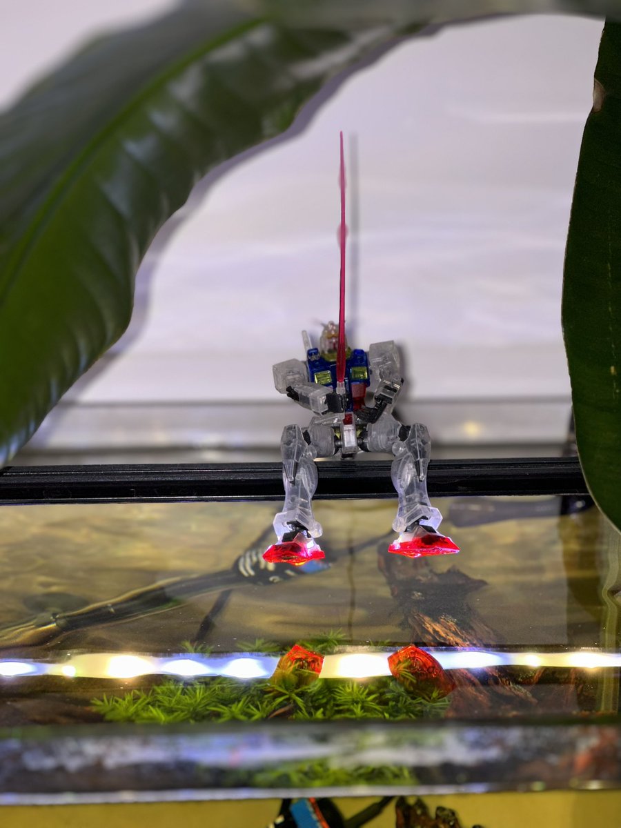 月中旬西安约起来