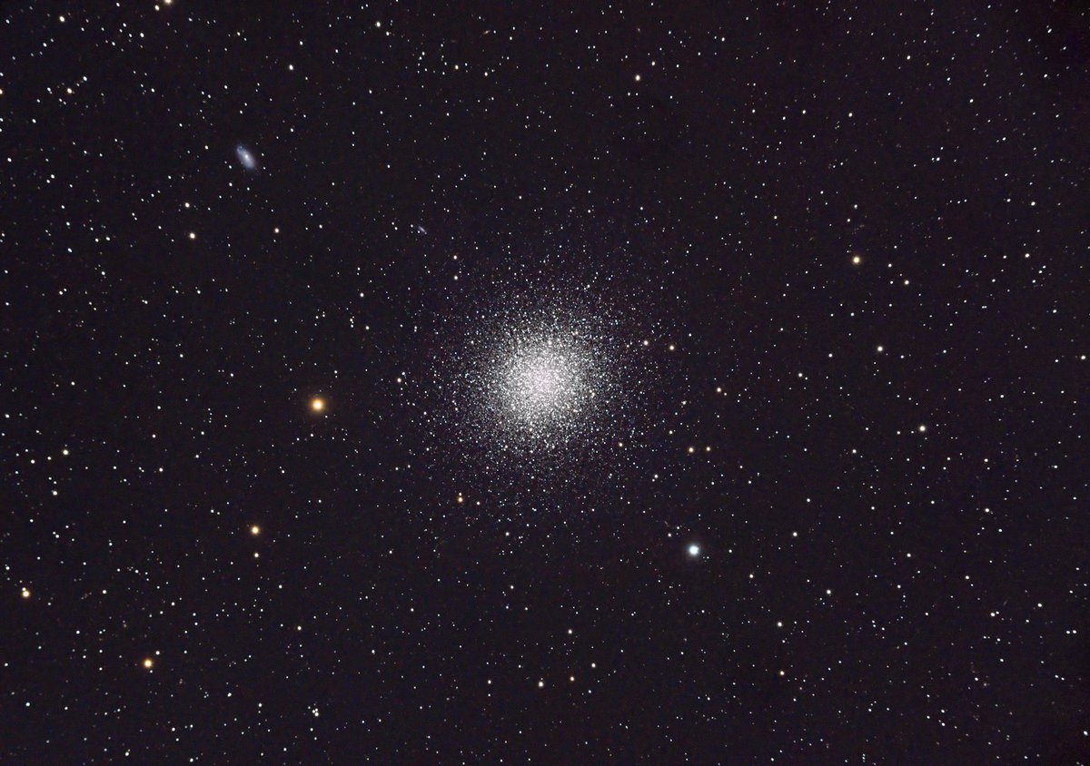 Rock Tree Sky tweet media