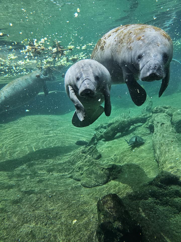 David Walker (@davidwalke57925) on Twitter photo 