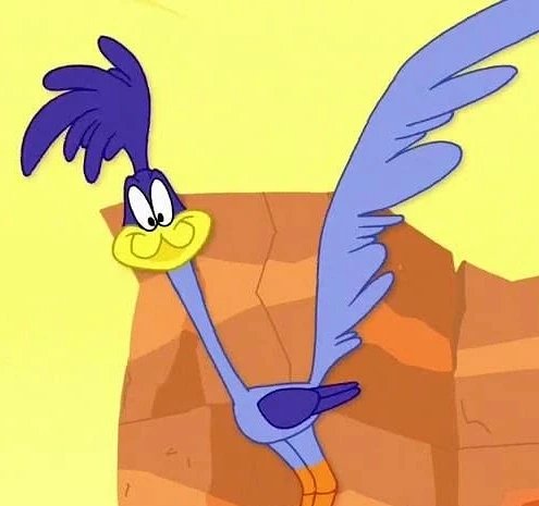 Road_Runner1949's tweet photo. Day 498 BEEP BEEP Oh hello there.
#RoadRunnerLooneyTunes
#LooneyTunesRoadRunner
#Road_Runner1949
#daily
#DailyDose
#DailyDoseofRoadRunner
#Day498 https://t.co/ecpJAr8Fa0