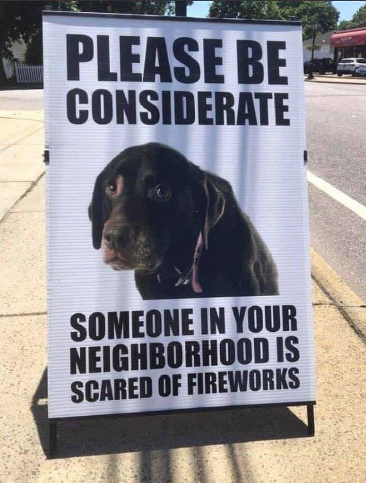 I don’t like big booms! #dog #Rottweiler